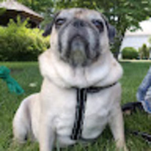 Meet your Posher, Angela